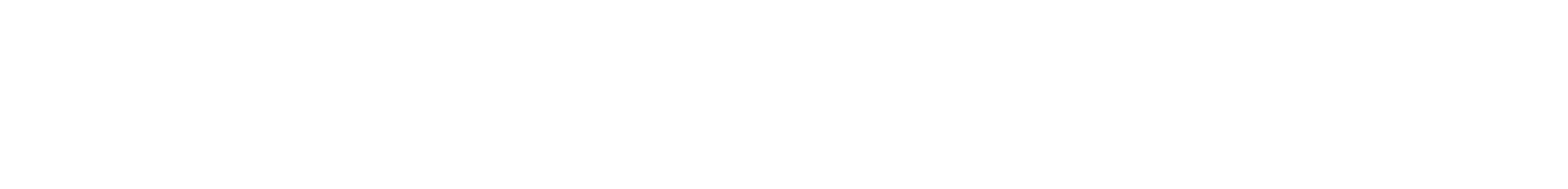 Vision Lab